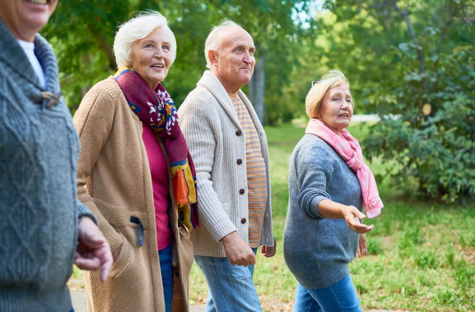 A group of seniors go for a walk together through a green park.